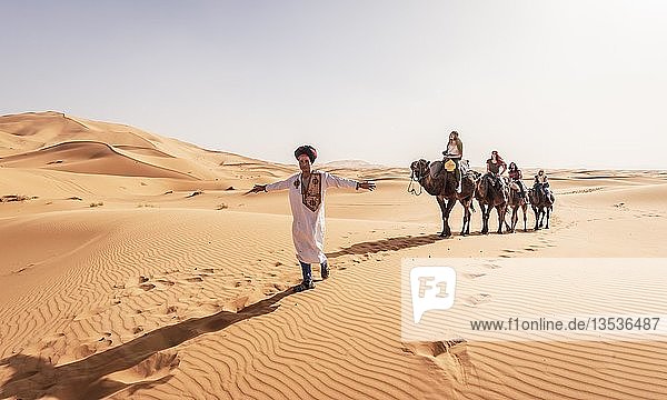 Tourists with Bedouin guide  caravan with two Dromedary (Camelus dromedarius)  sand dunes in the desert  Erg Chebbi  Merzouga  Sahara  Morocco  Africa