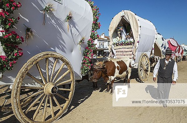 Verzierte Ochsenkarren Leute in traditioneller Kleidung Pfingsten Wallfahrt von EL Rocio Huelva-Provinz Andalusien Spanien Europa