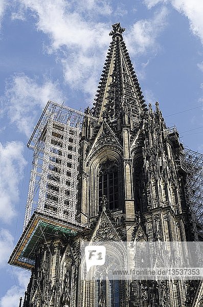 Hängegerüst für Renovierungsarbeiten am fast 158 Meter hohen Nordturm des Kölner Doms  Köln  Nordrhein-Westfalen  Deutschland  Europa