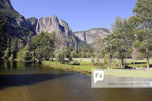 Typische Landschaft mit dem Merced River im Yosemite National Park  Kalifornien  USA  Nordamerika