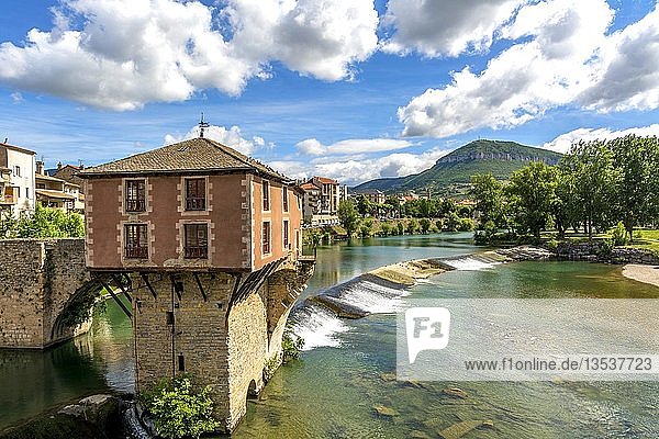 Alte Brücke und Mühle am Fluss Tarn Millau Aveyron Okzitanien Frankreich Europa