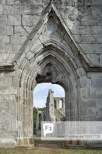Portal  Klosterruine Walkenried  gotische Ruine der Klosterkirche  ehemalige Zisterzienserabtei  Westportal  Walkenried  Niedersachsen  Deutschland  Europa