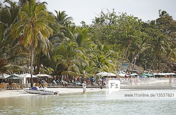Playa Boca Chica  Palm Beach  Boca Chica  Provinz Santo Domingo  Dominikanische Republik  Mittelamerika