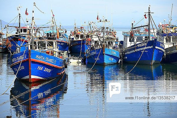Fischerboote in der Bucht von Puerto del Hambre  nahe Punta Arenas  Magallanes  Patagonien  Chile  Südamerika