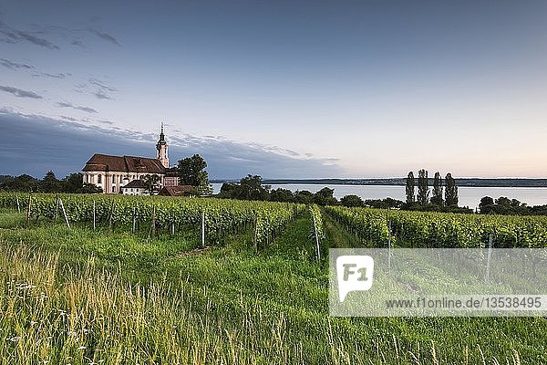 Die barocke Wallfahrtskirche Birnau am Bodenseeufer im Abendlicht davor Weinreben Bodenseekreis Baden-Württemberg Deutschland Europa