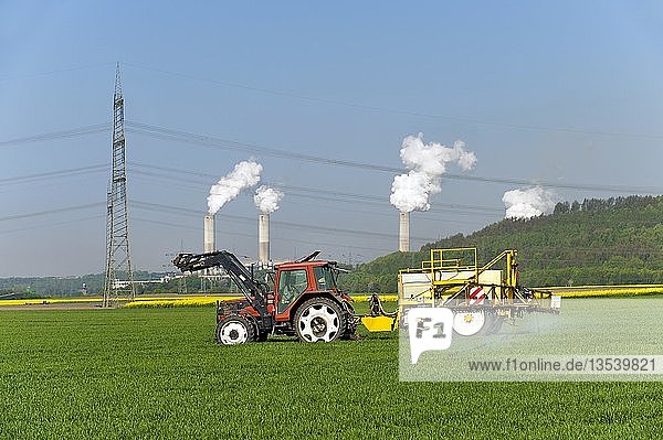 Tractor with trailer dispensing pesticides in a grain field  Grevenbroich  North Rhine-Westphalia  Germany  Europe
