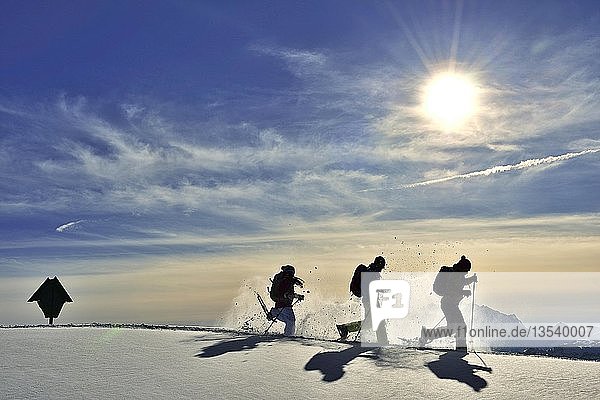 Three snowshoe walkers run in the snow against the light  snowshoe tour to the Fellhorn  Reit im Winkl  Bavaria  Upper Bavaria  Germany  Europe
