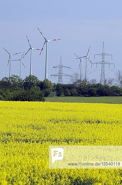 Rapsfeld  Strommasten und Windräder  erneuerbare Energien