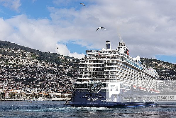 Kreuzfahrtschiff  Hafen  Funchal  Madeira  Portugal  Europa