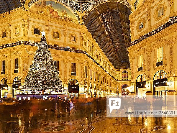 People marvel at Christmas tree and Christmas lights in luxury shopping arcade  covered gallery Galleria Vittorio Emanuele II  Blue Hour  Milan  Lombardy  Italy  Europe