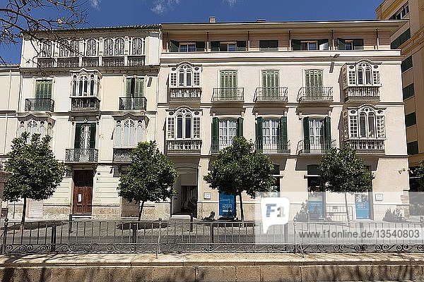 Picasso-Museum  Malaga  Costa del Sol  Andalusien  Spanien  Europa