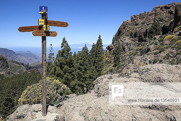 Hiking signpost on a hiking path to Roque Nublo  view of the mountains to the west of Gran Canaria  Canary Islands  Spain  Europe