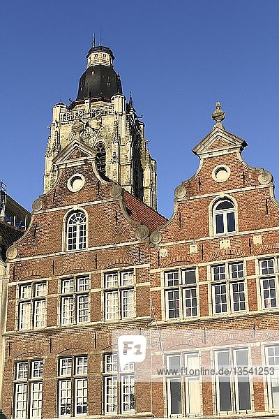 Giebelhäuser auf dem Groten Markt  im Hintergrund die gotische Sint-Walburga-Kirche  Sint-Walburgakerk  Oudenaarde  Westflandern  Flandern  Belgien  Europa