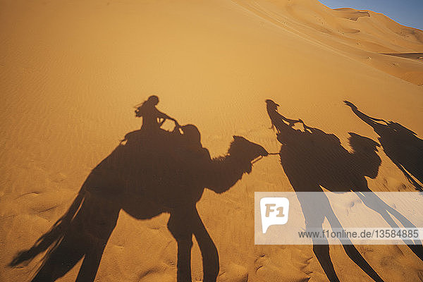 Schatten von Menschen reiten Kamele in sandigen Wüste  Sahara  Marokko
