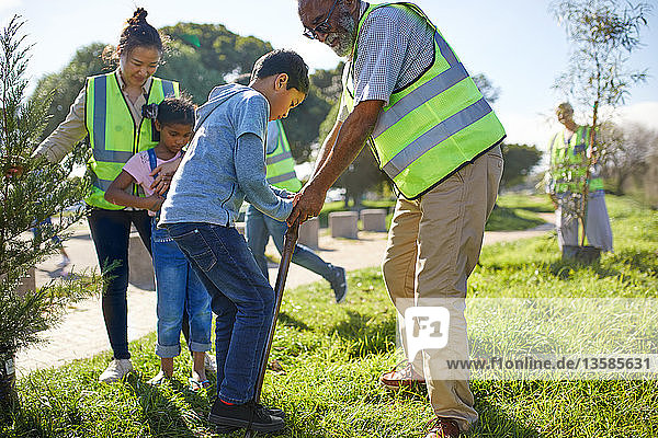 Freiwillige Mehrgenerationenfamilie pflanzt Bäume im sonnigen Park