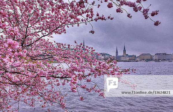 Fairmont Hotel Vier Jahreszeiten Hamburg Deutschland Europa