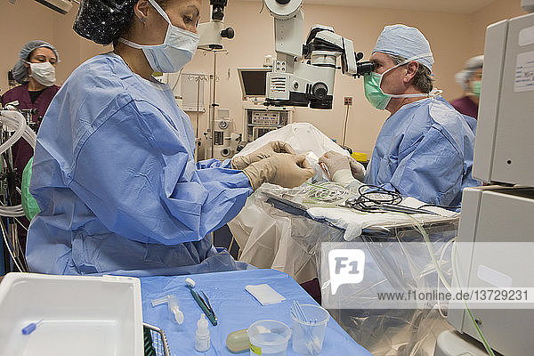 Chirurgische Technologin beim Anlegen der Leitung für die Spülungsaspiration und Arzt mit Mikroskop