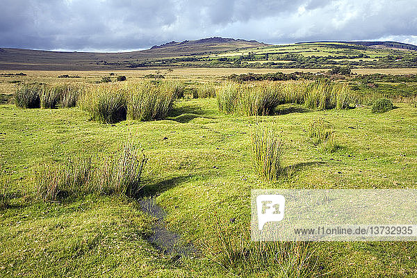 Preseli Hills Landschaft Mynachlogddu Pembrokeshire Wales