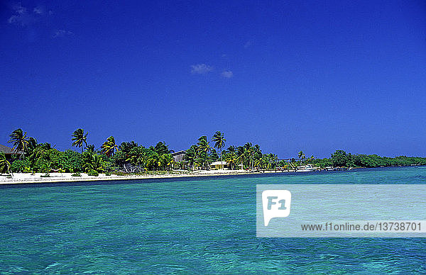 Karibische Insel  Little Cayman  Kaimaninseln  Britisch-Westindien