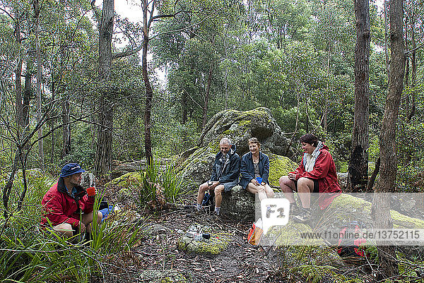Buschwanderer machen eine Pause am Mount Kingaman Morton National Park  New South Wales  Australien