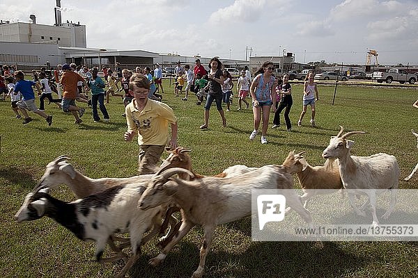 Racing with Goats 2010