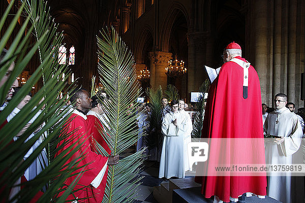Palmsonntag in der Kathedrale Notre Dame  Paris