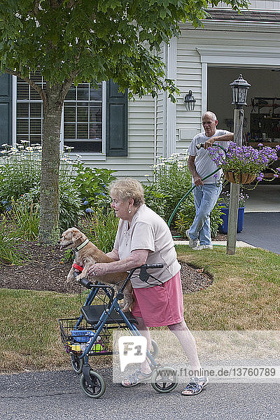 Senior man watering flowers while neighbor with walker and dog goes by