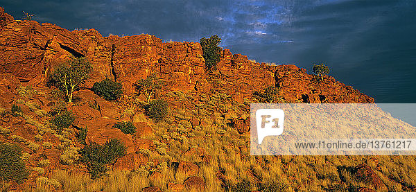 Steinland um die Trainor Hills Canning Stock Route  Little Sandy Desert  Westaustralien