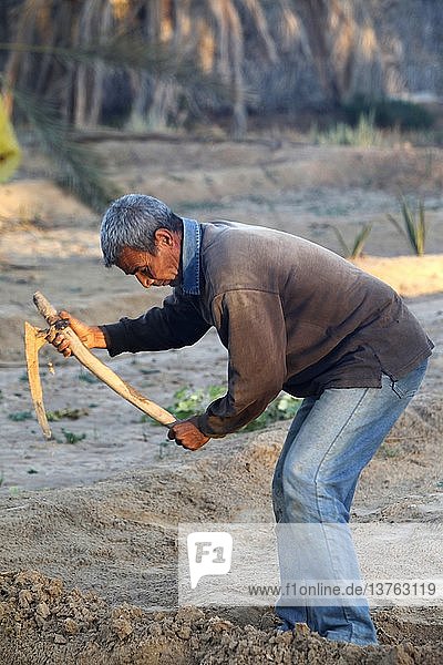 Landwirt beim Graben  Tunesien