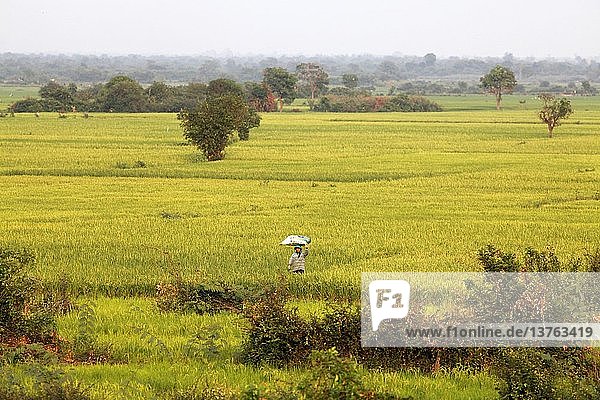 Landschaft von Kompong Cham  Kambodscha.