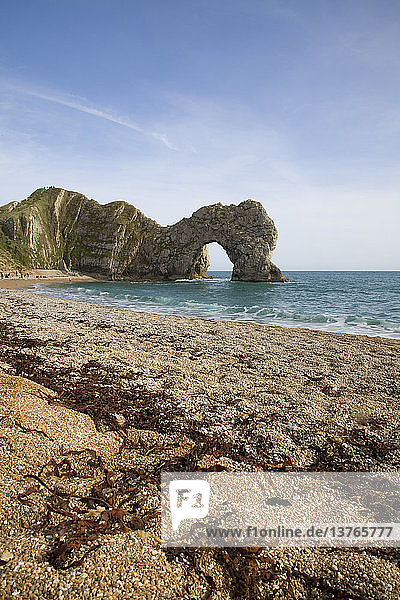 Berühmter natürlicher Küstenbogen von Durdle Door an der Jurassic Coast  Dorset  England
