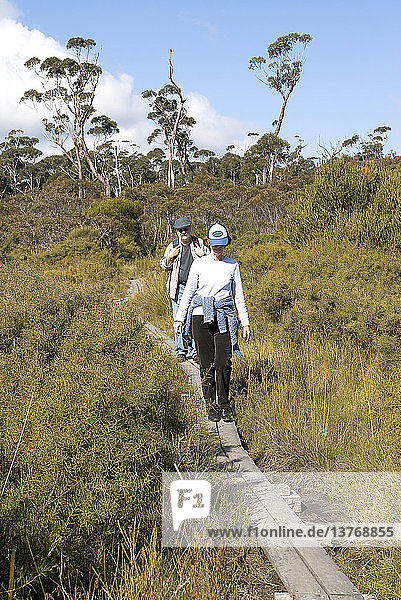 Tageswanderer auf einem Holzsteg in einem empfindlichen Feuchtgebiet in großer Höhe auf dem Mount Bushwalker Trail  Morton National Park  New South Wales  Australien