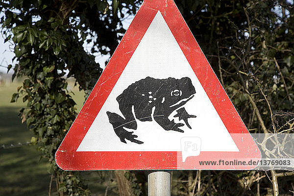Rotes dreieckiges Straßenschild mit Frosch oder Kröte