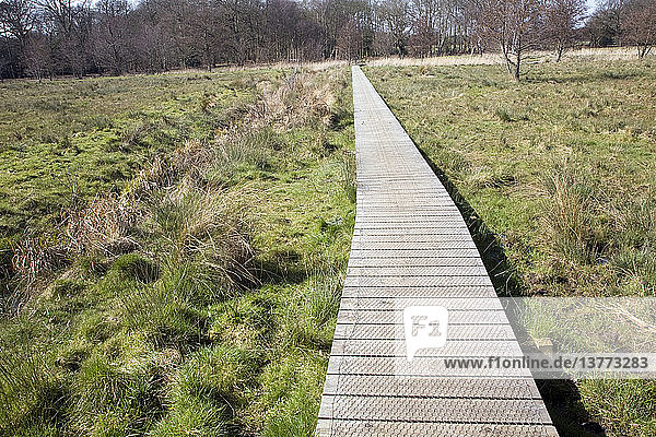 Ein Holzsteg über ein nasses  sumpfiges Feld  der ein Kunstwerk bildet  Snape  Suffolk