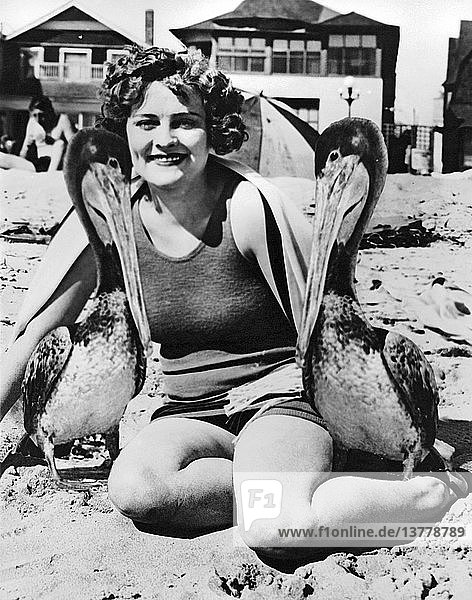 Venice  Kalifornien: 18. Februar 1927 Eine junge Frau am Strand mit ihren beiden zahmen Pelikanen  die ihre ständigen Begleiter sind. Sie folgen ihr überallhin und sitzen auf dem Rücksitz ihres Autos.