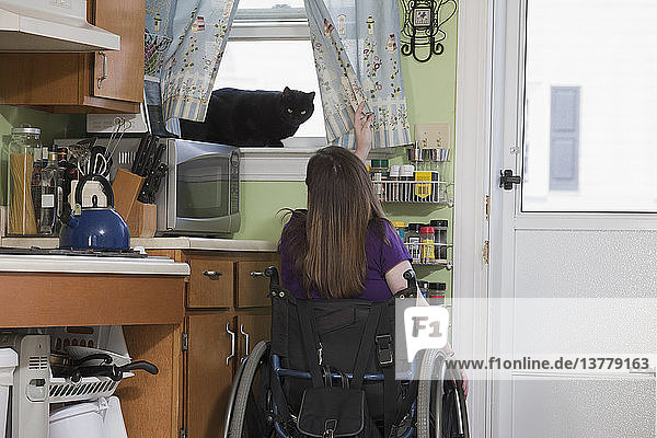 Woman with Spina Bifida in a wheelchair playing with a cat in the window of the kitchen