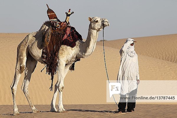 Kameltreiber beim Blick in die Wüste Sahara  Douz  Tunesien.