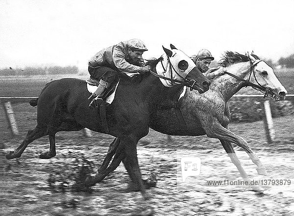 Los Angeles  Kalifornien: 6. November 1941 Wildebeest (L) und Blueberry Pie rennen dicht beieinander auf der Strecke eines Pferderennens...