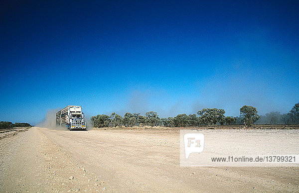 Straßenzug zum Transport von Rindern mit einer Länge von bis zu 53 m und einem Gewicht von bis zu 115 t  West-Queensland  Australien