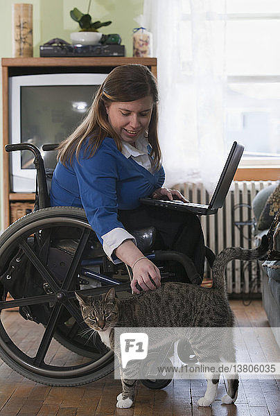 Businesswoman with Spina Bifida in a wheelchair using a laptop at home and petting a cat