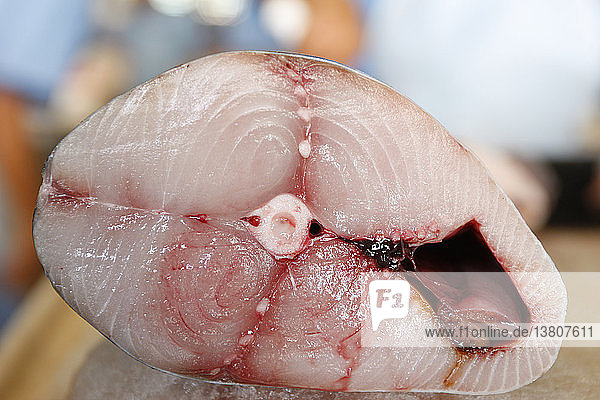 Fischmarkt Dubai Roter Thunfisch