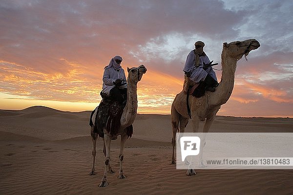 Dromedar-Reiter in der Sahara.