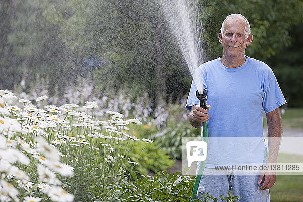 Älterer Mann gießt Gänseblümchen im Garten