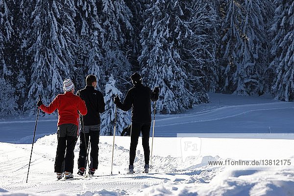 Cross-country skiing  France