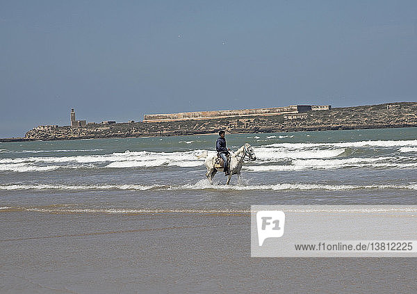 Mann reitet Pferd in der Brandung am Strand von Essaouira  Marokko