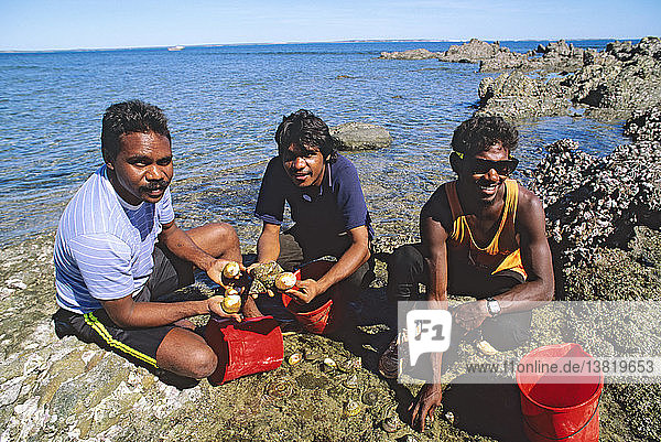Aboriginal group collecting trochus shells  One Arm Point  near Cape Leveque  Dampier Peninsula  Western Australia