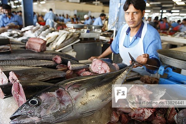 Fischmarkt Dubai Roter Thunfisch  Vereinigte Arabische Emirate