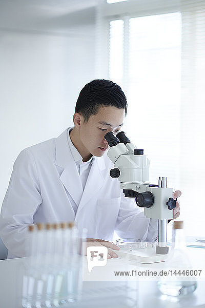 Young Japanese researcher in the lab