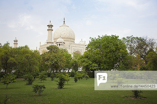 Taj Mahal hinter Bäumen im Park  Agra  Uttar Pradesh  Indien