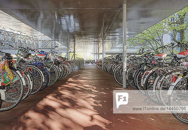 Fahrräder unter einem Schutzdach